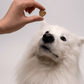 Probiotic CBD Pet Treats