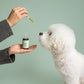Full Spectrum Organic Pet CBD Oil - Medium Animals